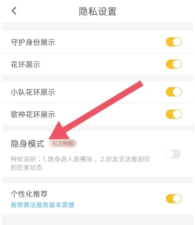 怎样设置隐身状态配图2